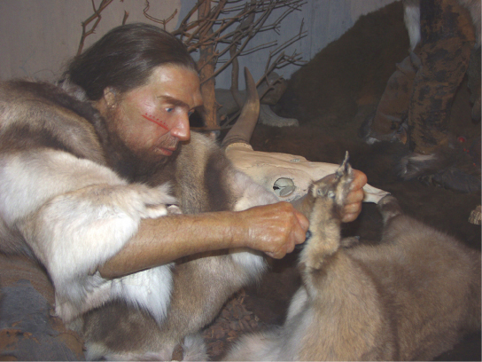 The illustration shows a very human looking Neanderthal wearing fur and cutting a hide with a stone tool.
