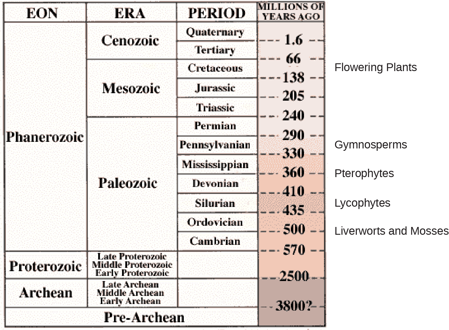 Part A is a table showing a timeline of geological eras. The columns of the table read, from left to right, Eon, era, period, millions of years ago. It shows that during the Phanerozoic eon, three eras occured; the Cenozoic, mesozoic, and the paleozoic. The cenozoic era contained the quaternary period, which occured 1.6 million years ago, and the tertiary period, which occured 66 million years ago. The mesozoic era contained the cretaceous period, occuring between 66 and 138 million years ago. Flowering plants evolved during this period. The Jurrasic period occured between 138 and 205 million years ago, and the triassic period occured between 205 and 240 million years ago. The Paleozoic era contained many periods. The permian period occured between 240 and 290 years ago. The Pennsylvanian period occured 290 to 330 million years ago, and gymnosperms evolved then. The Mississippian period occured 330 to 360 million years ago. Pterophytes evolved around 360 million years ago. The Devonian period occured 360 to 410 million years ago. The silurian period occured 410 to 435 million years ago, in which lycophytes evolved. The ordovician period occured 435 to 500 million years ago; in which liverworts and mosses evolved. The cambrian period occured 500 to 570 million years ago. During the Proterozoic eon, there were three eras, the late, middle, and early proterozoic eras. These occured between 570 and 2500 million years ago. In the archean eon, three eras occured; late, middle, and early archean eras. These occured from 2500 to 3800 million years ago. Pre archean is shown as a single eon, era, and period, occuring more than 3800 million years ago.
