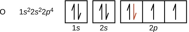 This figure includes the element symbol O followed by the electron configuration 1 s superscript 2 2 s superscript 2 2 p superscript 4. An orbital diagram follows, which consists of two individual squares, labeled as, “1 s,” and, “2 s,” below followed by a grouping of three connected squares which are labeled, “2 p.” All boxes are oriented in a row. The two individual squares and the first square in the row of connected squares contain a pair of half arrows. One half arrow in each pair points up, and one points down. The downward pointing arrow in the first square in the row of connected squares is red. The remaining two squares each contain single upward pointing half arrows.