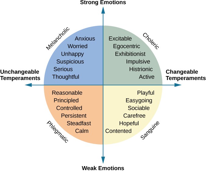 Summary of the six groups of personality characteristics