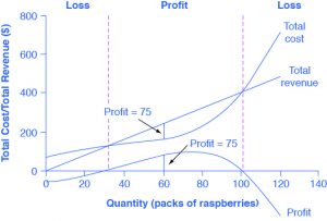 The graph shows that firms will incur a loss if the total cost is higher than the total revenue. The x-axis is the quantity of raspberry packs. The y-axis is the total cost/total revenue. The description of the graph is located in the paragraph below the table.