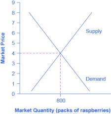 Chapter 8.2 – How Perfectly Competitive Firms Make Output Decisions ...