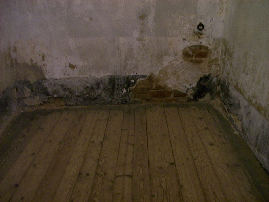 A cell with wooden floor and stained walls.