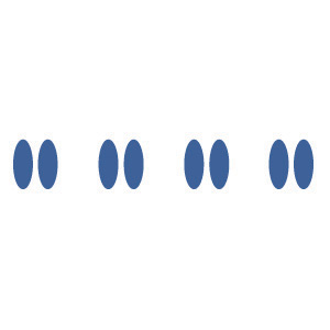 Four images of two ovals? or eight images of ovals?