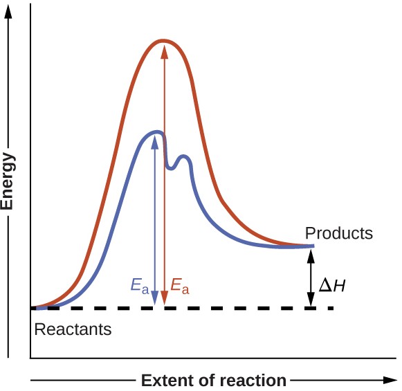 Catalysis 127 Chemistry 112 Chapters 12 17 Of Openstax General Chemistry 1004