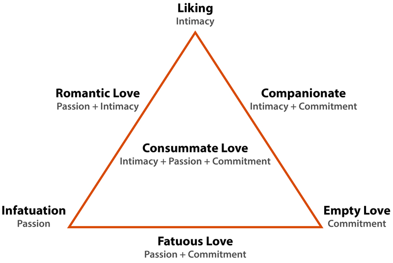 The model of the Triangular Theory of Love displays 6 types of love evenly spaced around the outside of a triangle, and one type of love at the center of the triangle. The types of love outside the triangle include: Infatuation (Passion), Romantic Love (Passion + Intimacy), Liking (Intimacy), Companionate (Intimacy + Commitment), Empty Love (Commitment), and Fatuous Love (Passion + Commitment). At the center is Consummate Love (Intimacy + Passion + Commitment).