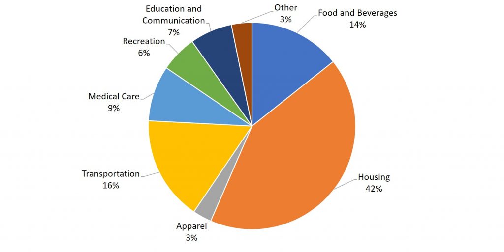This pie chart shows the major categories of the US CPI Basket.