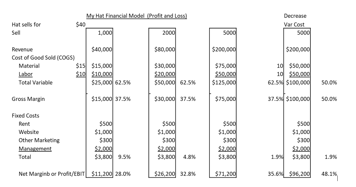My hat financial model, profit and loss.
