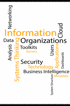 Information and Organizations (IST 301) book cover