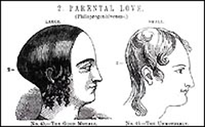 an illustration of two different women's heads. The image is titled "Parental Love" and is comparing the sizes of the back of these women's head. Woman 1 on the left has the back of her head curving outward from the top of her head to the base of her neck, and is larger than the second woman's. Woman 2 on the right has the back of her head curving inward from the top of her head to the base of her neck. Woman 1 is labeled "The Good Mother". Woman 2 is labeled "The Unmotherly"