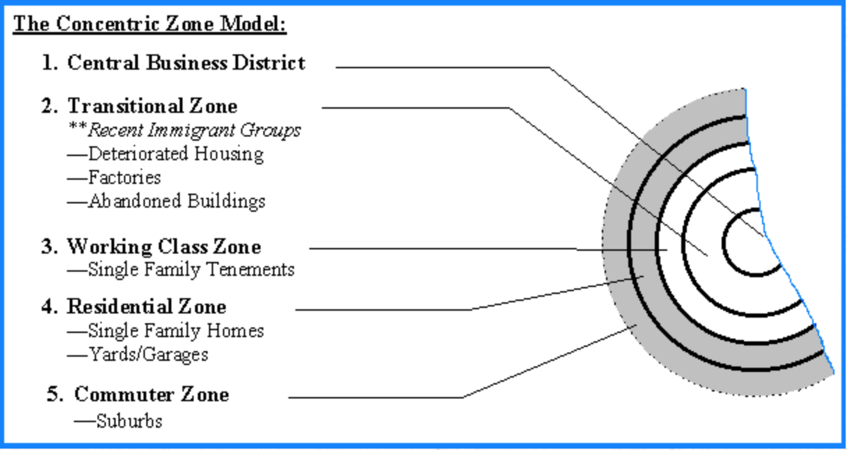 An illustration titled "The Concentric Zone Model". It has a circle with inner circle layers similar to an archery target. The center of the circle is labeled "1. Central Business District". The next outward layer is labeled "2. Transitional Zone, recent immigrant groups." There is a list under this label that lists: deteriorated housing, factories, abandoned buildings. The third outward layer from the center is labeled "Working Class Zone", and lists single family tenements underneath. The fourth layer outward from the center is labeled "Residential Zone", and lists single family homes, and yards/garages underneath. The most outer layer of the circle is labeled "Commuter Zone" and lists suburbs underneath.