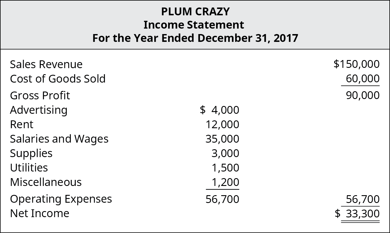 Plum Crazy Income Statement for the Year Ended December 31, 2017.