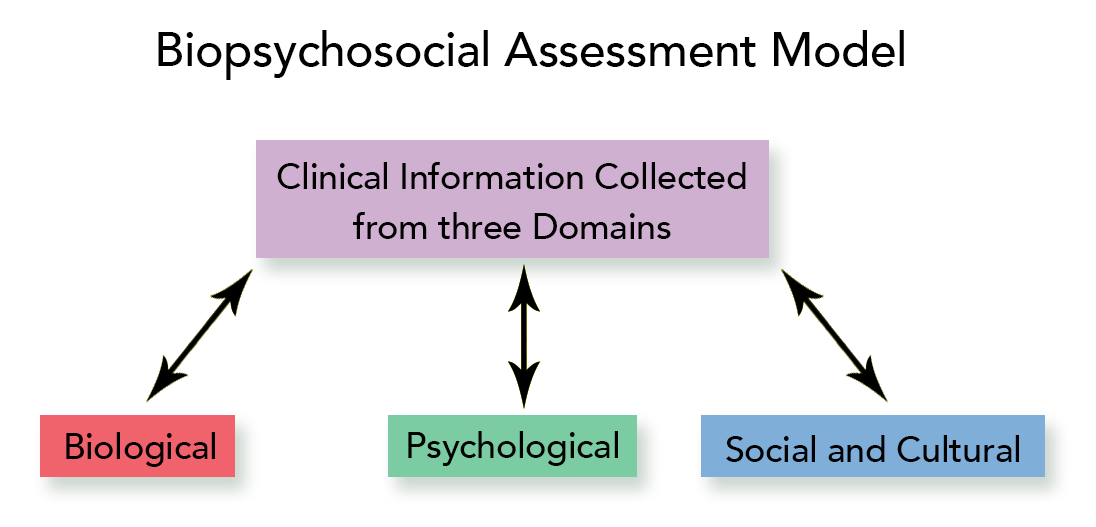 A box labeled "Clinical Information Collected from three domains" is connected by arrows to biological, psychological and social and cultural