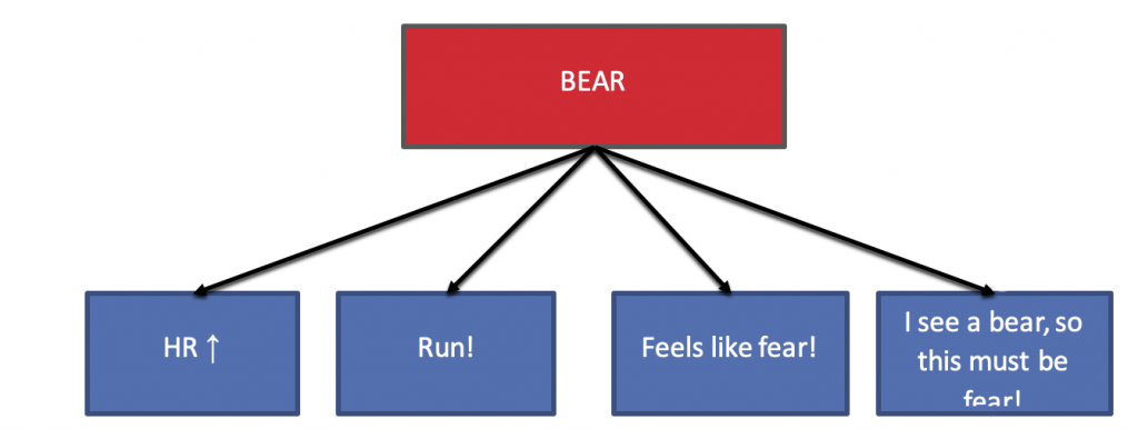 A diagram similar to the previous with an eliciting event of seeing a bear, and the four responses of that event. The four responses shown here for seeing a bear are: "Heart Rate Increase", "Run!", "Feels like fear!", "I see a bear so this must be fear"