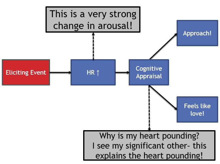 This flowchart has the same exact structure as the previous flowchart image, however there are different details filled in the flowchart boxes. The eliciting event shown here is the siting of a significant other. The first response is similar to that of the bear siting, your heart rates increases and on the same level, a text area that flows from the heart rate text reads: "This is a very strong change in arousal!". The second path that flows from the significant other siting is again the "cognitive appraisal". The text area that is on the same level of the diagram that represents the labeling of the emotion being felt reads: Why is my heart pounding I see my significant other - this explains the heart pounding!" The two results flowing down from the cognitive appraisal and labeling of the emotion felt from the significant other are labeled "Approach!" and "Feels the Love!" Similar physiological responses to that of a bear but differences once cognitive appraisal happens.