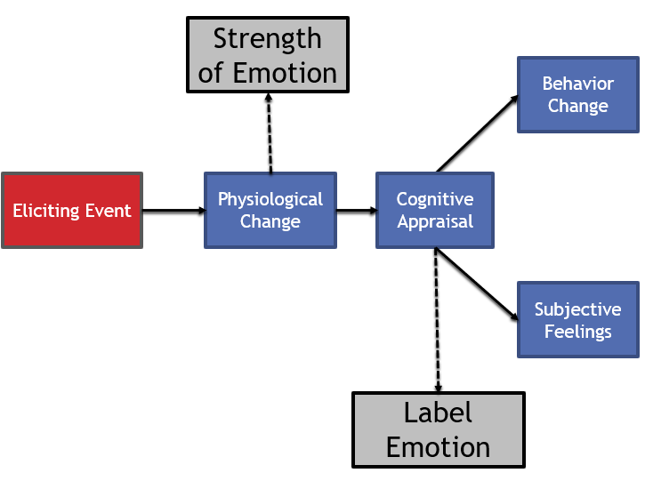 This flowchart however has two added text boxes branching off of the "Cognitive Appraisal / Labeling emotion" level of the flowchart. The two new text areas that flow from "Cognitive Appraisal" as resulting items are labeled: "Behavior Change, and Subjective Feelings".