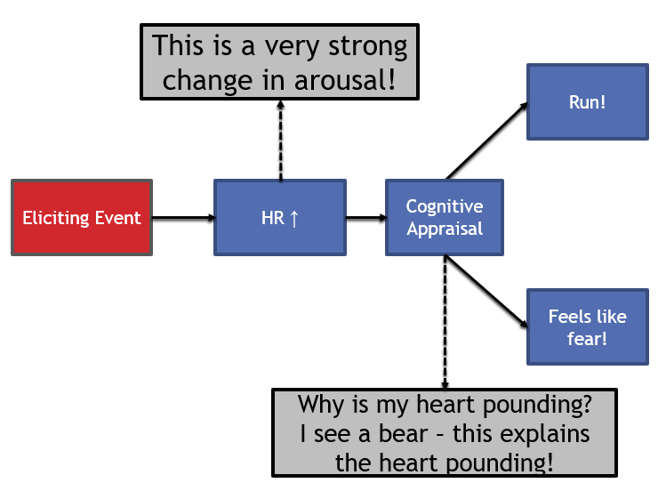 This flowchart has the same exact structure as the previous flowchart image, however there are more details filled in the flowchart boxes. The eliciting event shown here is again the siting of a bear. The first path of the flowchart leads to a heart rate increase from the eliciting event of a bear. From the heart rate increase, the flowchart then points to a text area stating: "This a very strong change in arousal!". The second path of Schachter-Singer flow chart flows from the eliciting event to the cognitive appraisal. The cognitive appraisal flows with a dotted line (indicating the cognitive appraisal happening) into a text area that reads: "Why is my heart pounding? I see a bear - this explains the heart pounding!" The label of "Cognitive Appraisal" then flows into the labels: "Feels like fear!", and "Run!".
