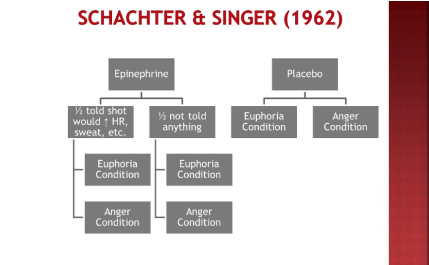 schachter two factor theory