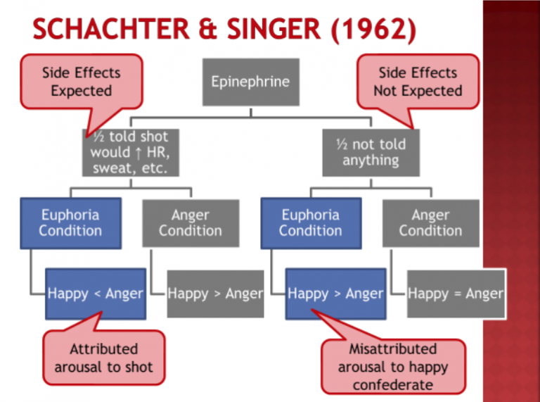 schachter and singer experiment quizlet