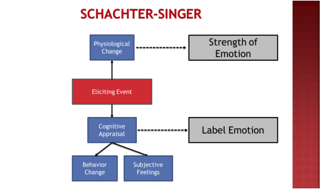 Schachter-Singer Two-Factor Theory – Psychology 425