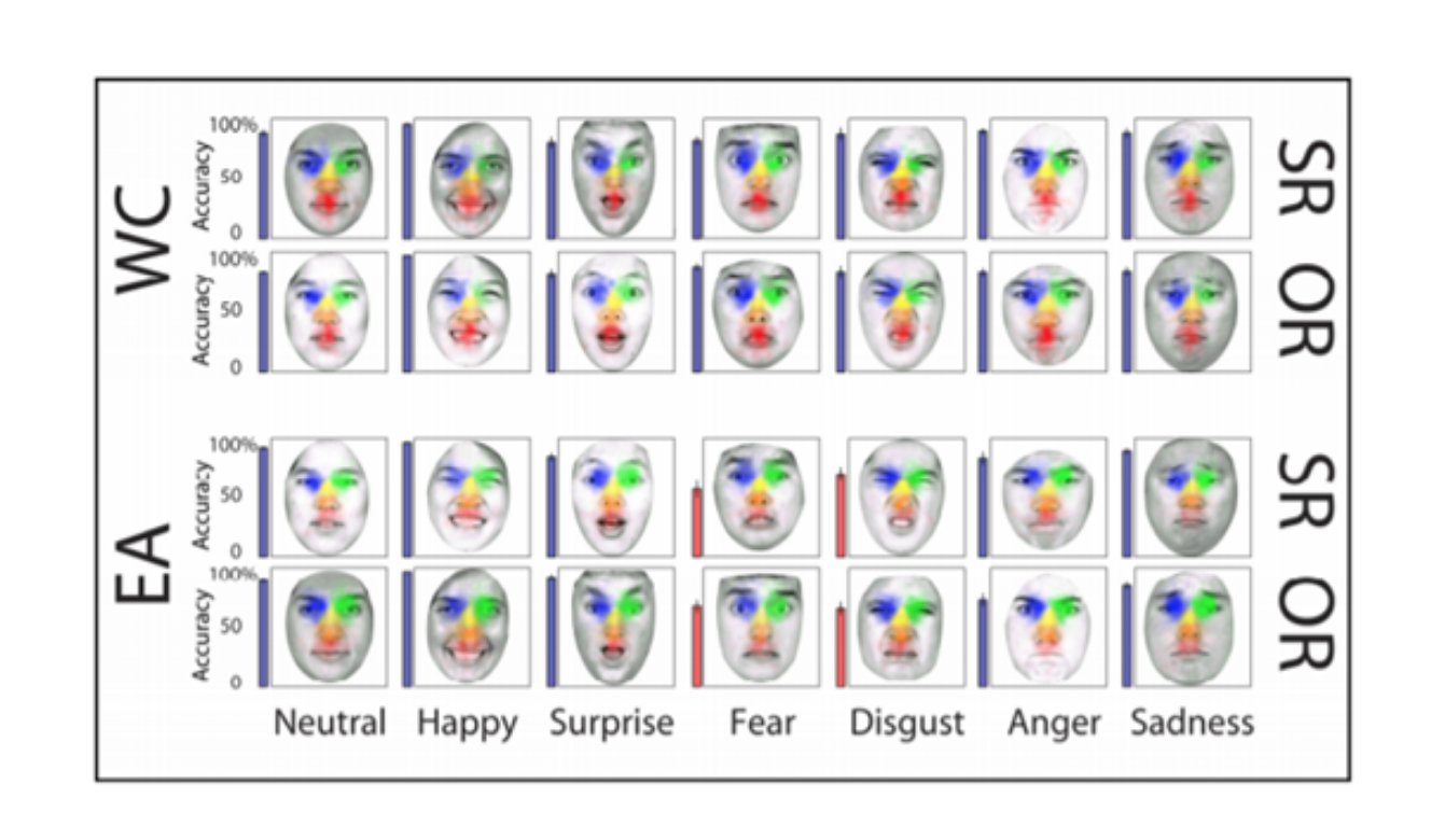 A chart showing 7 rows of facial expressions that correspond to the emotions happiness, surprise, fear, disgust, anger, and sadness, as well as a neutral condition. There is an East Asian and a Caucasian face for each of these emotions. Each face is colored in a different area, which denotes where participants from both Japan and America looked when identifying the facial expression. The figure shows that Japanese participants spent more time looking at the eyes of the displayed faces, whereas American participants looked at all parts of the face, not focusing on any specific one.