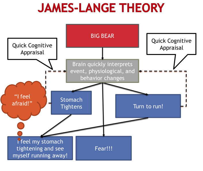 Big Bear flows to: Brain quickly interprets event, p[hysiological, and behavior changes. This then flows to three seperate boxes: Stomach tightens, turn to run, and fear! There are two dotted lines that loop back from turn to run, and stomach tightens; to the second box - Brain quickly inteprets event, and these lines are labeled - Quick cognitive appraisal. These two boxes also have regular flow lines that both flow to a text box that reads: I feel my stomach tightening and see myself running away.