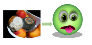 A bowl of moldy nectarines shown next to an arrow pointed towards a green emoticon face that appears to be disgusted by the nectarines.