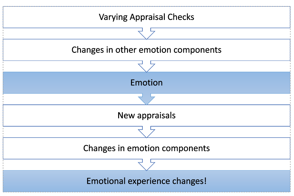 Graphic displaying the influence of appraisals on emotional experience.
