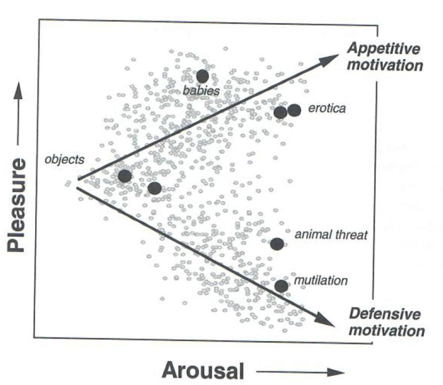 Graph displaying the relationship between the valence (y-axis) and arousal (x-axis) for IAPS. There are also several points plotted on the graph: obects, babies, erotica, animal threat, and mutilation.