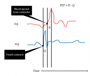 Physiological Measures of ANS Activity – Psychology of Human Emotion ...