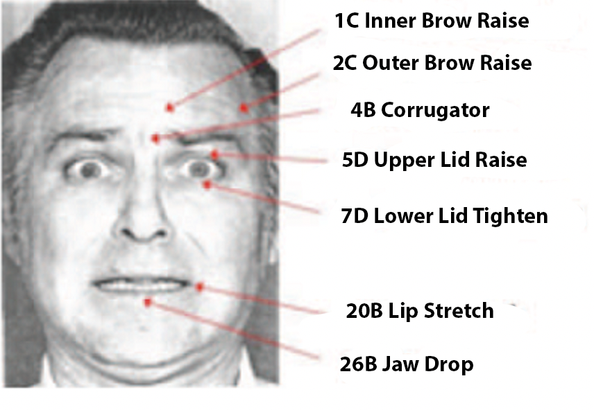 An image of a face with multiple action unit items listed. Those items are: 1C - Inner Brow Raise, 2C Outer Brow raise, 4B corrugator, 5D upper lid raise, 7D lower lid tighten, 20B - lip stretch, and 26B - Jaw drop