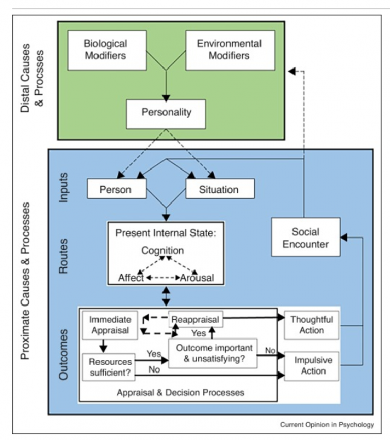 Anderson And Colleagues’ General Aggression Model (GAM) – Psychology 425