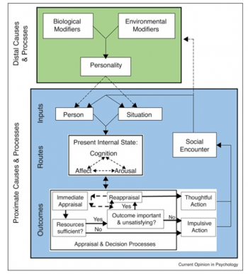 Anderson and Colleagues’ General Aggression Model (GAM) – Psychology of ...