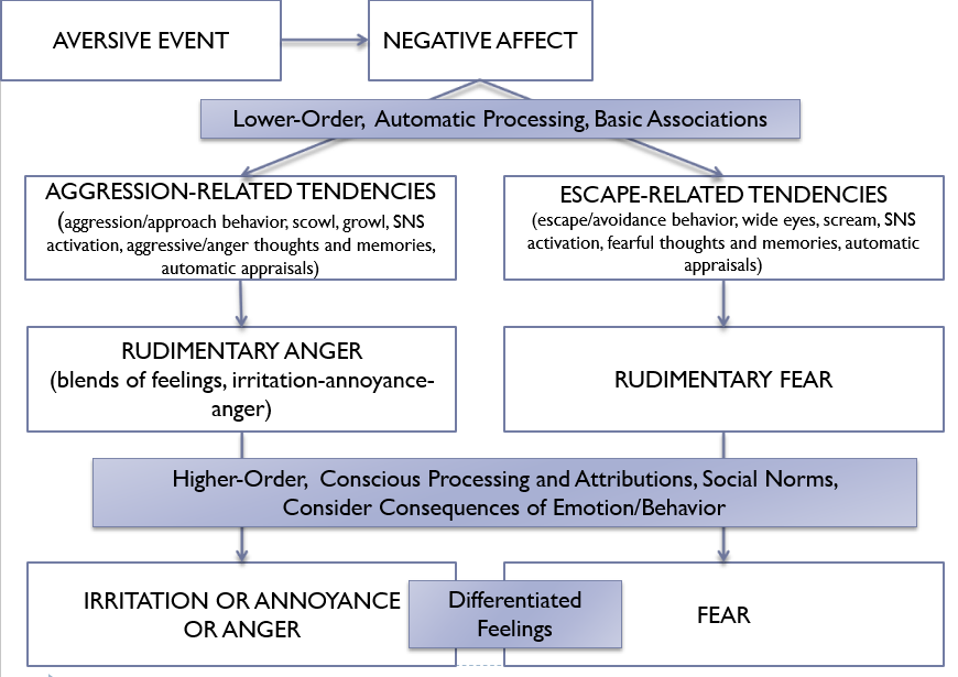 CNA Model Flowchart. Aversive event, then negative affect, then lower-order, automatic processing, basic associations. If aggression-related tendencies (aggression/approach behavior, scowl, growl, SNS, activation, aggressive/anger thoughts and memories, automatic appraisals), then Rudimentary anger (blends of feelings, irritation-annoyance-anger), then higher-order, conscious processing and attributions, social norms, consider consequences of emotion / behavior, then irritation or annoyance or anger. If escape-related tendencies (escape/avoidance behavior, wide eyes, scream, SNS activation, fearful thoughts and memories, automatic appraisals), then rudimentary fear, then fear, which is a differentiated feeling than the irritation or annoyance or anger