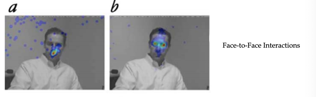 Two images of a person. One is labeled a (left picture), and one is labeled b (right picture). There is thermal marks on both of the pictures to demonstrate where participants looked during face-to-face interactions with the person in the picture.