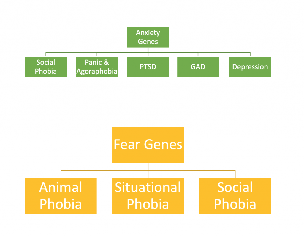 distinguishing-anxiety-from-fear