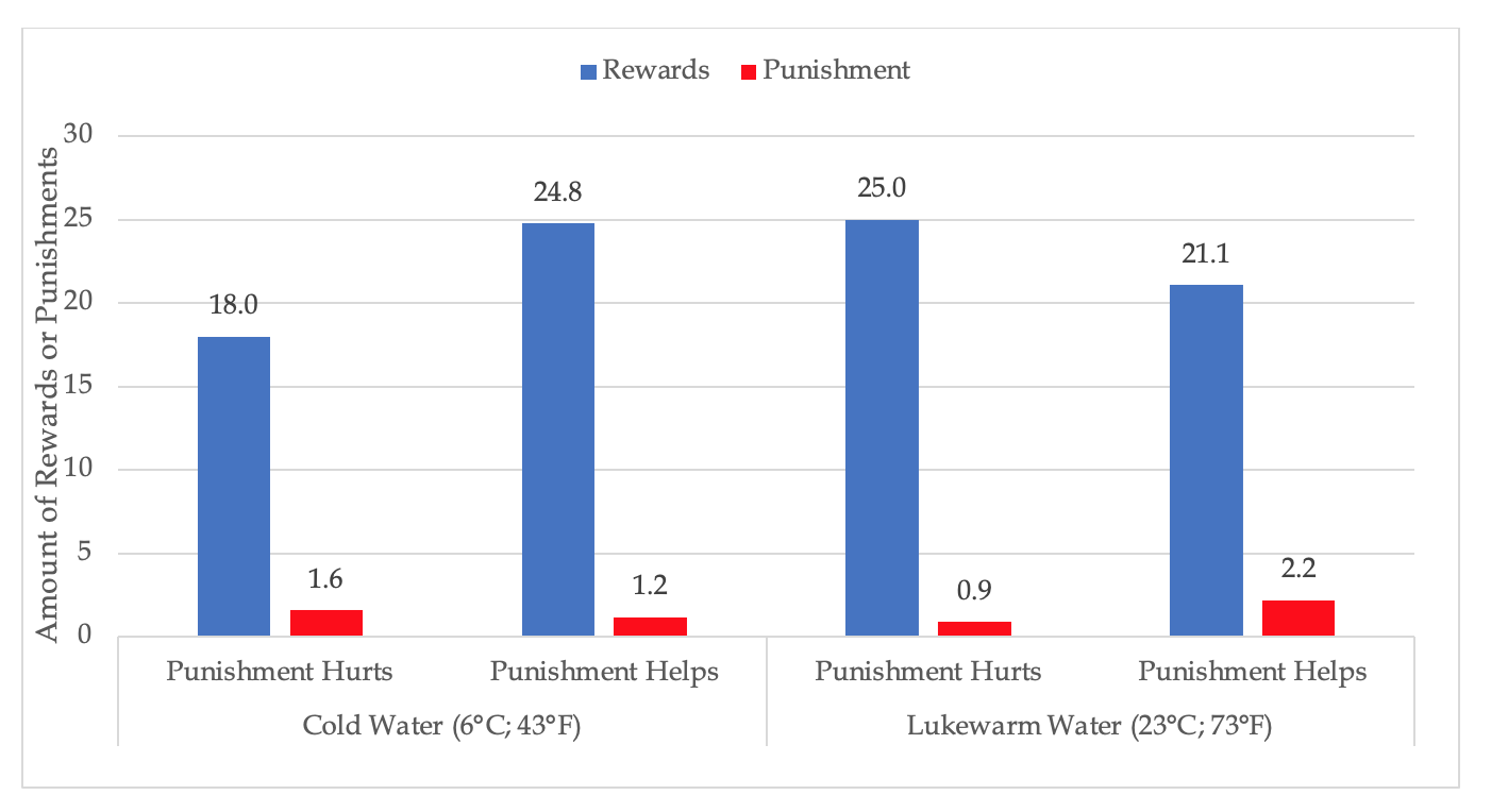 Two bar graphs, with two sets of bars in each. There is a bar graph for cold water (6 degrees celsius; 43 degrees farenheit), and there is a bar graph for lukewarm water (23 degrees celsius; 73 degrees farenheit). In each graph there is a punishment hurts set, and a punishment helps set. Each of the sets has two bars plotted, a rewards bar and a punishment bar. the y axis of both graphs is the amount of rewards or punishments, and it starts at 0, increases in increments of 5, to a maximum of 30. Cold water, punishment hurts set, rewards bar - 18.0. Cold water, punishment hurts set, punishment bar - 1.6. Cold water, punishment helps set, rewards bar - 24.8. Cold water, punishment helps set, punishment bar - 1.2. Lukewarm water, punishment hurts set, rewards bar - 25.0. Lukewarm water, punishment hurts set, punishment bar - 0.9. lukewarm water, punishment helps set, rewards bar - 21.1. Lukewarm water, punishment helps set, punishment bar - 2.2.