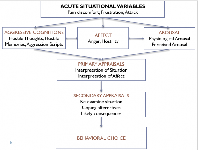 Anderson and Colleagues’ General Aggression Model (GAM) – Psychology 425