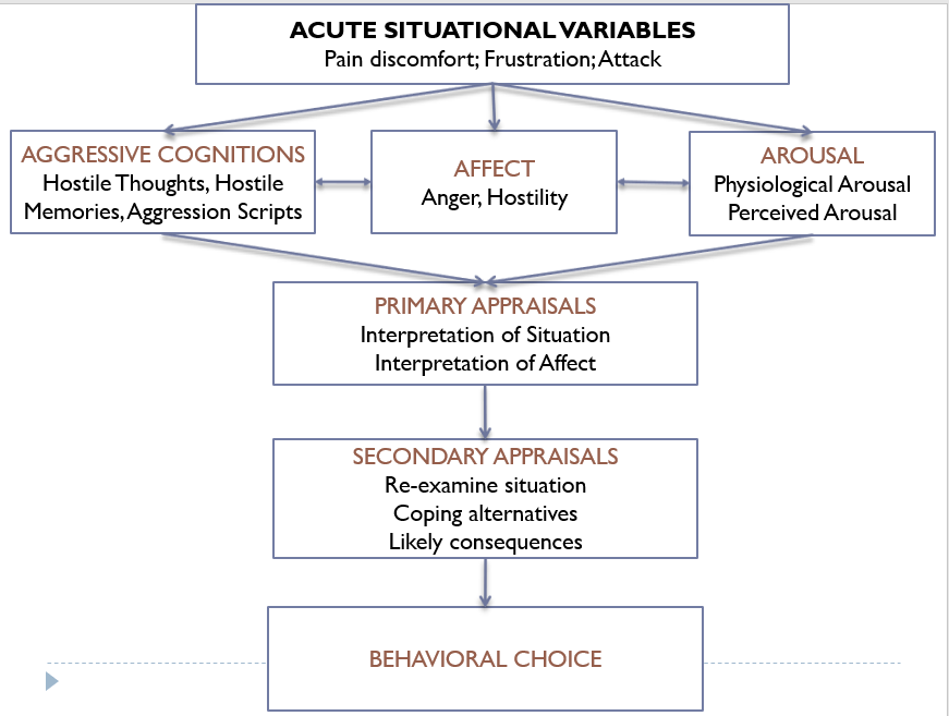 Anderson and Colleagues’ General Aggression Model (GAM) – Psychology 425