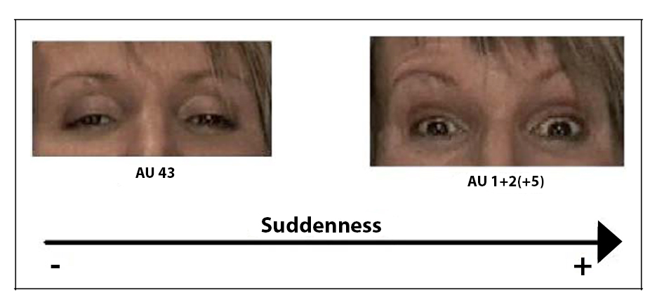 An image showing examples of Correlational Relationship between Suddenness Appraisal and Amount Eyes Opened