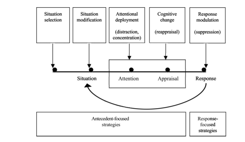 Process Model of Emotion Regulation