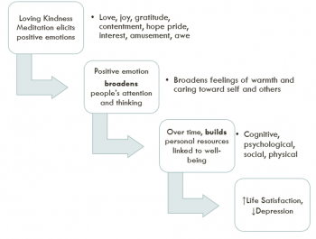 Broaden And Build Theory Of Positive Emotions – Psychology Of Human ...