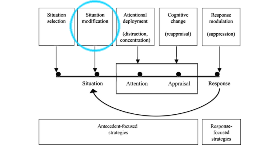 Process Model of Emotion Regulation. Situation Modification is focused on in this figure.