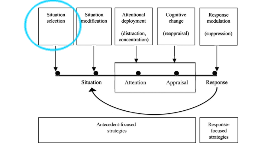 Process Model of Emotion Regulation. Situation Selection is focused on in this figure.