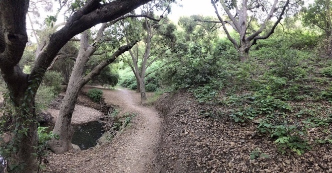 Tecolote Canyon, San Diego, where Thomas murdered Mary Ellen Martinez