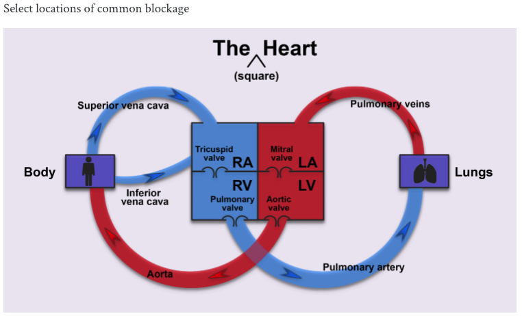 The square heart