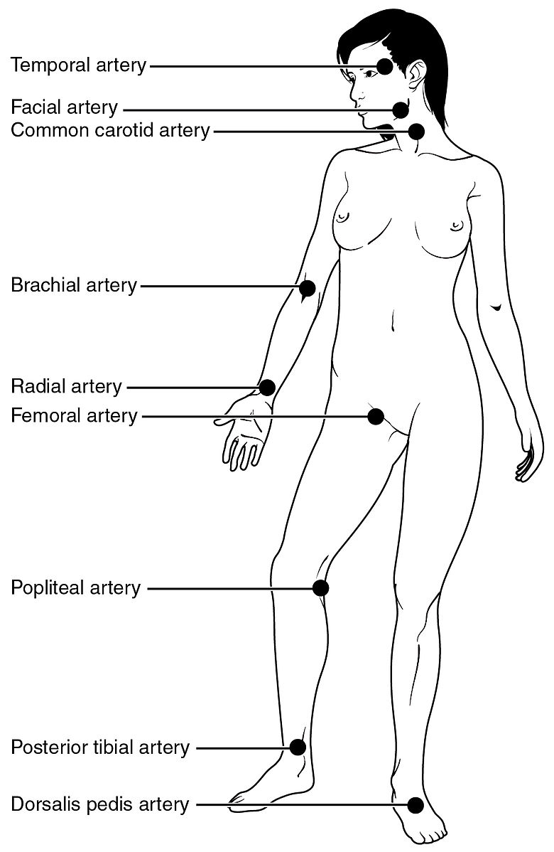 Pulse Sites