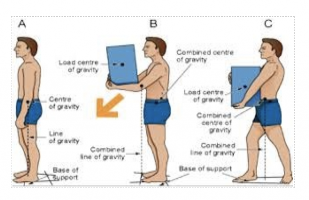 vertical line of gravity