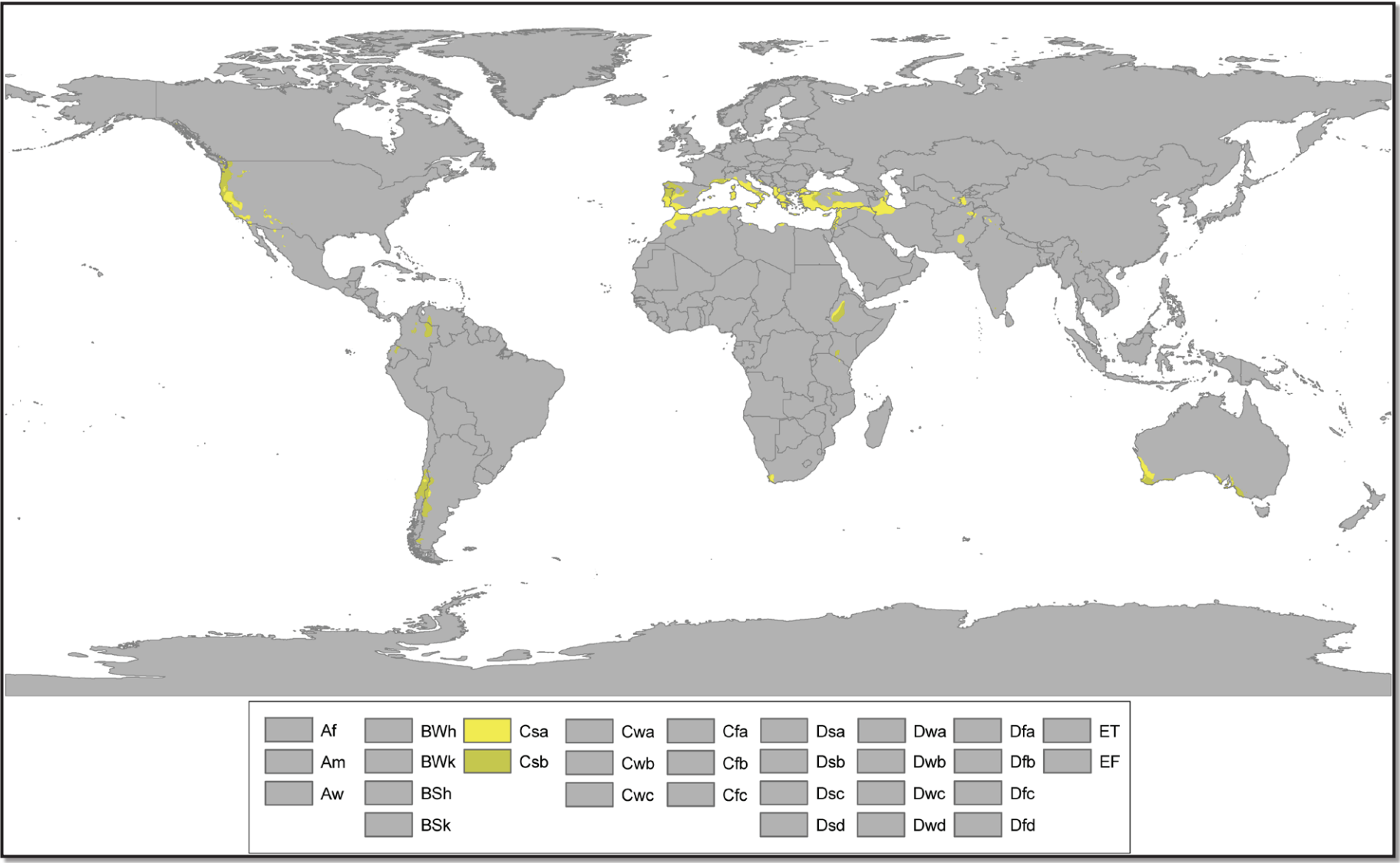 Mediterranean Regions highlighted in yellow on a world map
