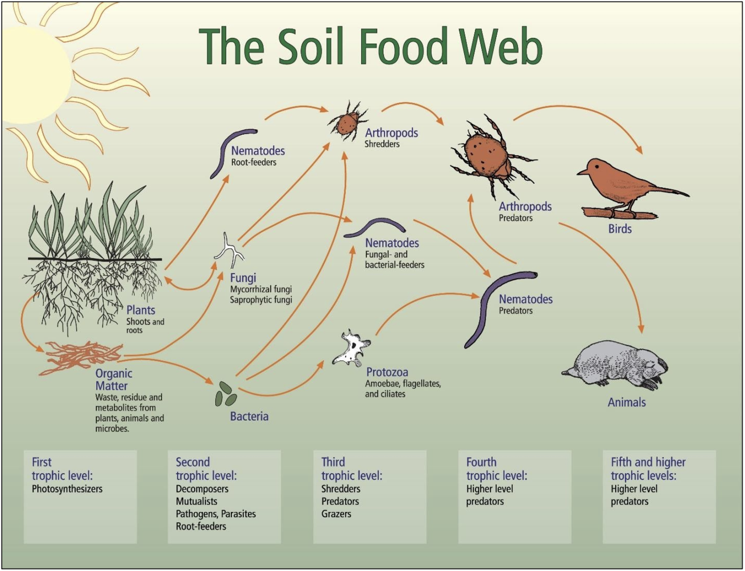 Agroecology And Biodiversity Conservation – Everyone Needs To Eat ...